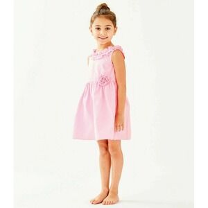 Lilly Pulitzer Georgina Dress Pink Tropics Striped Seersucker Girl's Size 14